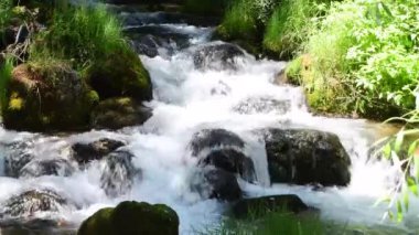 Bir dağ deresinin suları hızla büyük kaya ve kayalarla dolu bir nehir yatağının içinden akar ve yeşilliklerle çevrilidir..