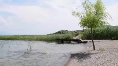 Güçlü rüzgarlar suyu dalgalandırıyor ve sudaki ve kıyıdaki bitkileri sallıyor.