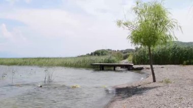 Güçlü rüzgarlar suyu dalgalandırıyor ve sudaki ve kıyıdaki bitkileri sallıyor.