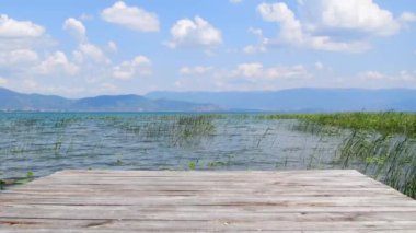 Güçlü rüzgarlar suyu dalgalandırıyor ve sudaki ve kıyıdaki bitkileri sallıyor.