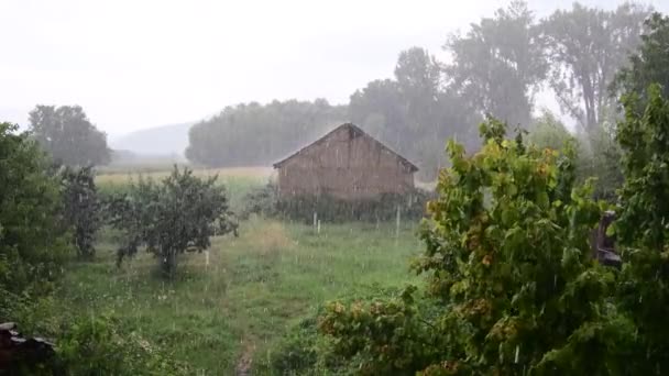 Heavy Rain Hail Accompanied Strong Wind Spilled Lot Water Greenery — Stockvideo