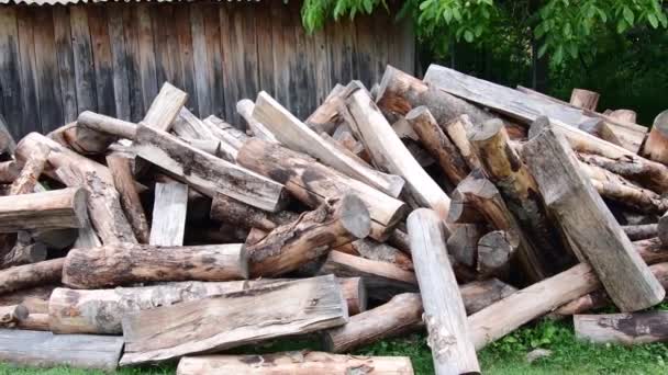View Pile Wood Cut Arranged Heating Winter — Stock video