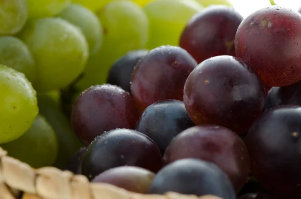 Obst - Trauben — Stockfoto