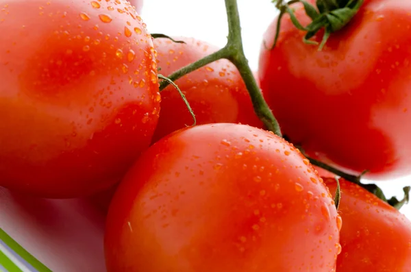 Foto von sehr frischen Tomaten auf weißem Hintergrund — Stockfoto