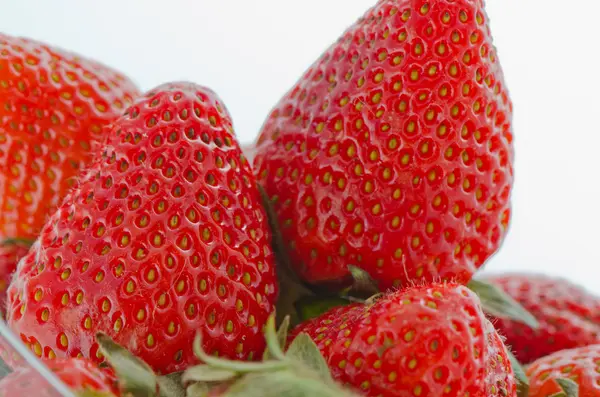 Fresh sweet strawberries were placed on a white background — Stock Photo, Image