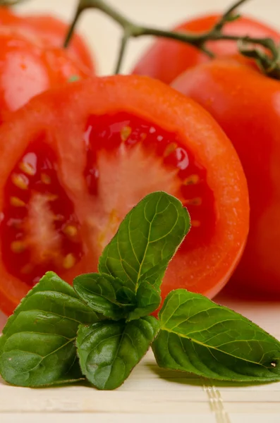 Foto mycket färska tomater — Stockfoto