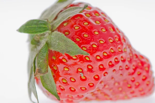 Fresh strawberries were placed on a white background — Stock Photo, Image