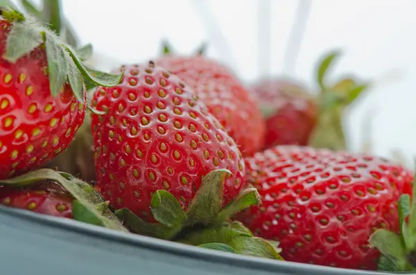 Fresh strawberries were placed on a white background — Stock Photo, Image