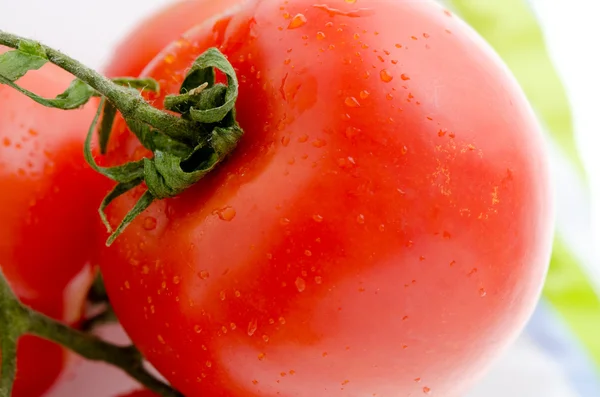 Foto von sehr frischen Tomaten — Stockfoto