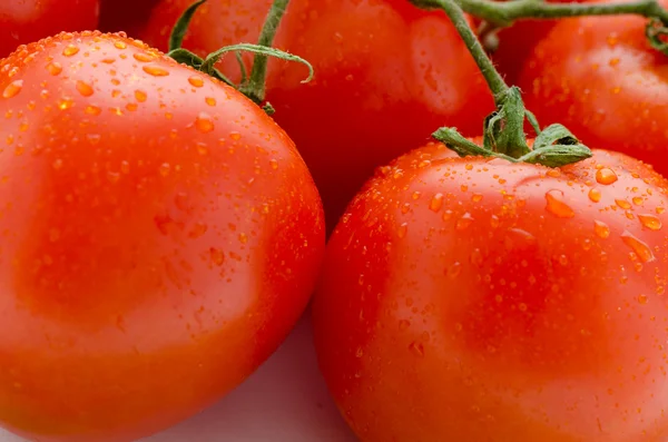 Sehr frische Tomaten — Stockfoto