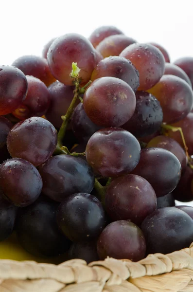 Obst - Trauben — Stockfoto