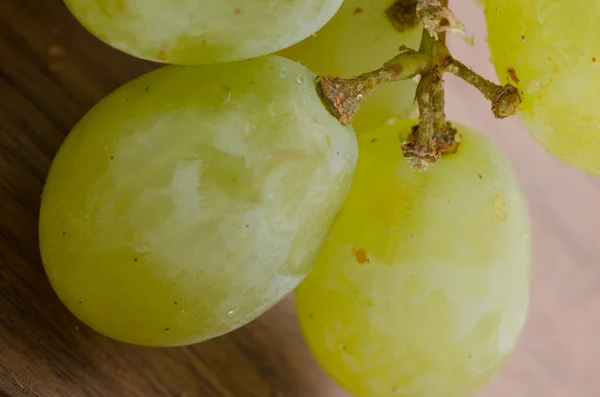 Owoce - winogrona — Zdjęcie stockowe