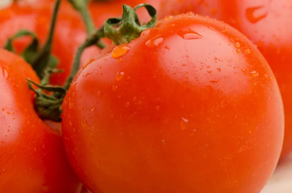 Sehr frische Tomaten — Stockfoto