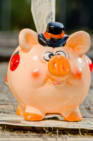 Saving money in beautiful piggy bank. — Stock Photo, Image