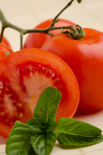 Sehr frische Tomaten mit Basilika — Stockfoto