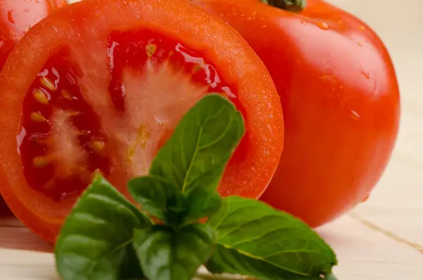 Sehr frische Tomaten — Stockfoto