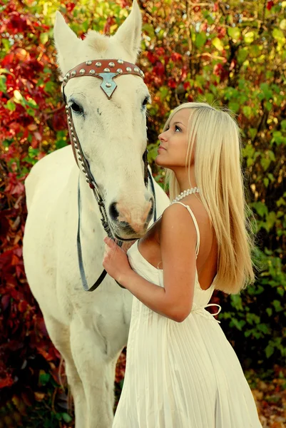 Bella donna e cavallo bianco — Foto Stock