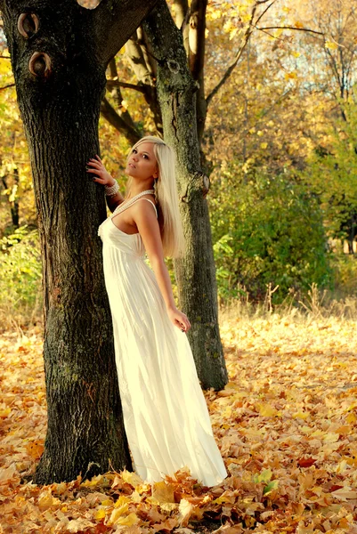 Dziewczyna mody, ciesząc się w parku na jesień — Zdjęcie stockowe
