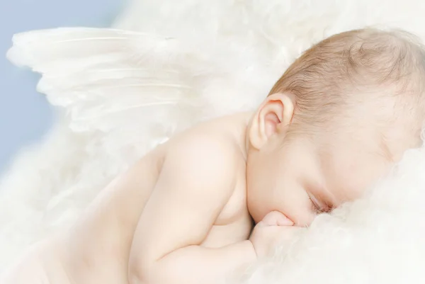 Little angel — Stock Photo, Image