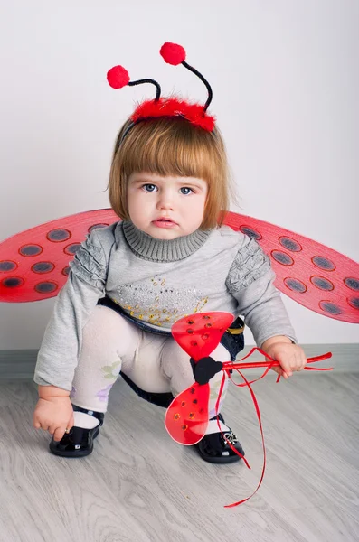 Little baby ladybug — Stock Photo, Image