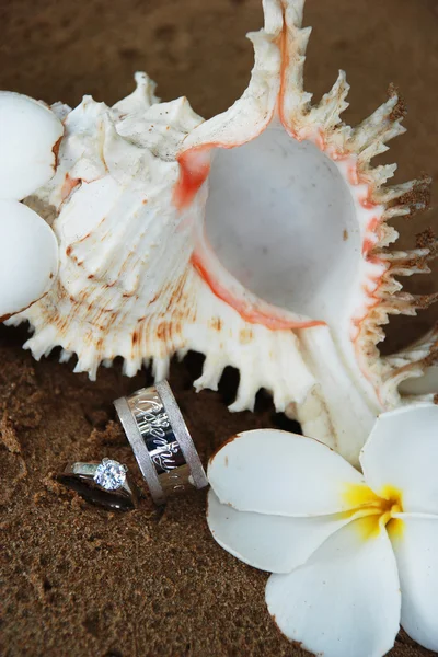 Wedding rings — Stock Photo, Image