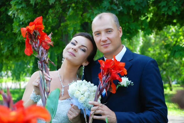 Newlyweds — Stock Photo, Image