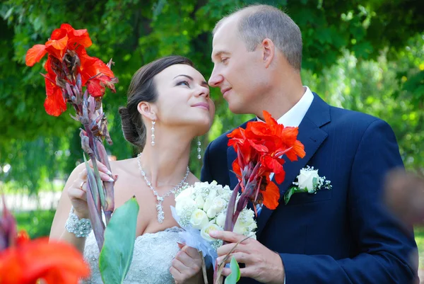 Newlyweds — Stock Photo, Image