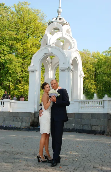 Newlyweds — Stock Photo, Image