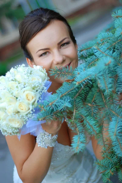 Beautiful Bride — Stock Photo, Image