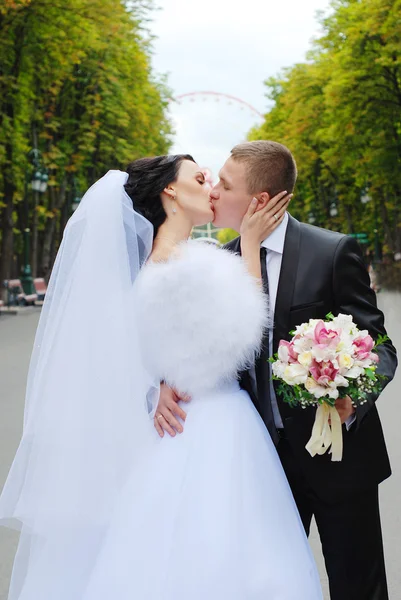 Newlyweds kissing — Stock Photo, Image