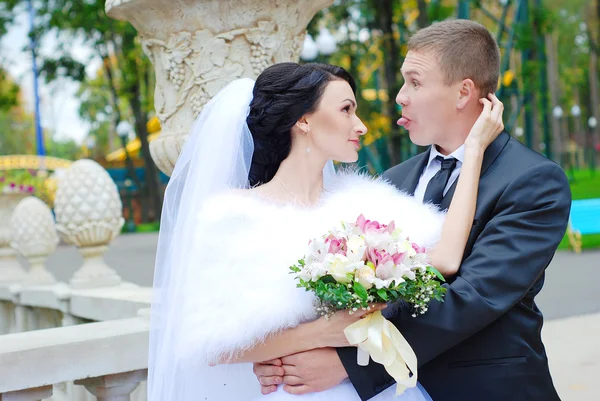 Newlyweds — Stock Photo, Image