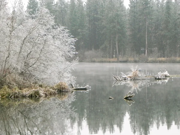sabah buzlu yansımaları Nehri üzerinde