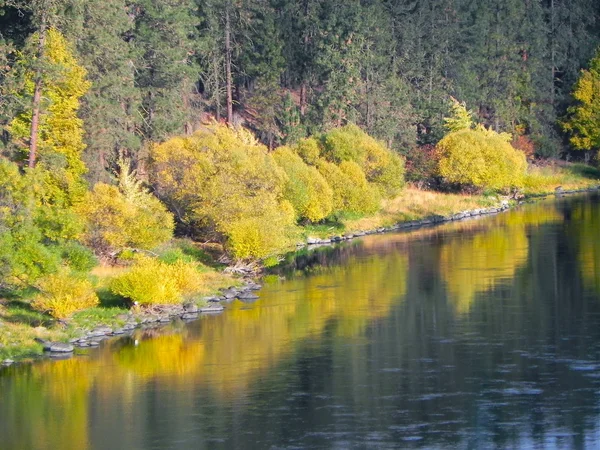 tembel nehir boyunca