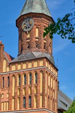 Kaliningrad, Rusya - 31 Mayıs 2021: Kanta Adası 'ndaki Kalininingrad Katedrali