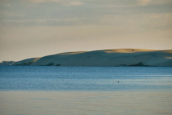 Dunas Areia Parte Russa Curonian Spit Kaliningrado Rússia — Fotografia de Stock