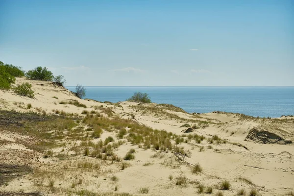 Sanddünen Des Russischen Teils Kurische Nehrung Gebiet Kaliningrad Russland — Stockfoto