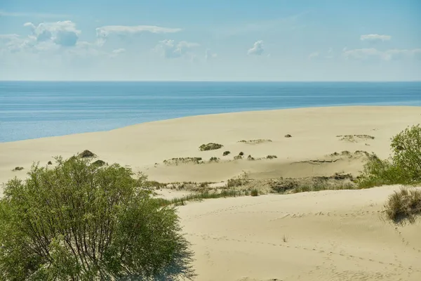 Sanddynerna Ryssen Delen Kuriska Näset Kaliningrad Region Ryssland — Stockfoto