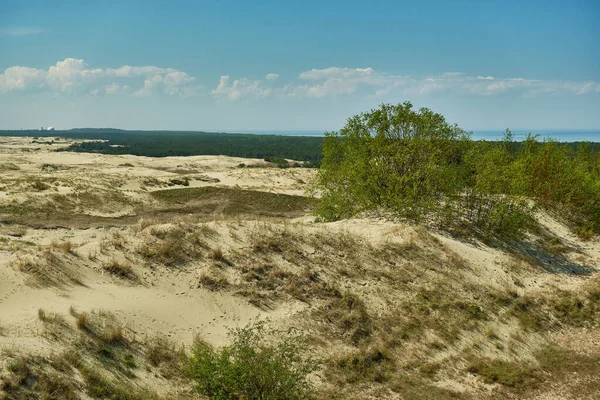 俄罗斯部分的沙丘 Curonian 俄罗斯加里宁格勒地区 — 图库照片