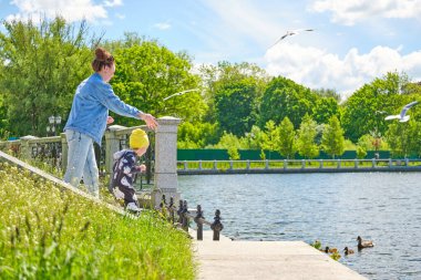 Anne ve kızı, şehrin göletindeki ördek ve martılara ekmek kırıntıları yediriyor.