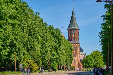 Kaliningrad, Rusya - 31 Mayıs 2021: Kanta Adası 'ndaki Kalininingrad Katedrali