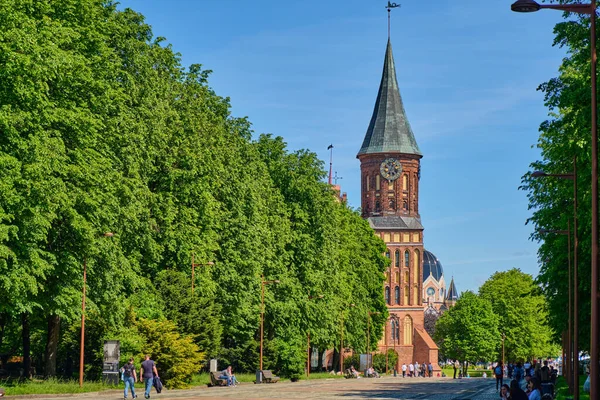 Kaliningrad, Rusya - 31 Mayıs 2021: Kanta Adası 'ndaki Kalininingrad Katedrali