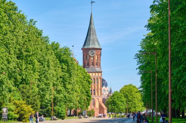 Kaliningrad, Rusya - 31 Mayıs 2021: Kanta Adası 'ndaki Kalininingrad Katedrali