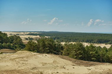 Kum tepeleri Rus Curonian Spit bölüm. Kaliningrad bölgesi, Rusya Federasyonu