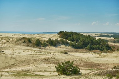 Kum tepeleri Rus Curonian Spit bölüm. Kaliningrad bölgesi, Rusya Federasyonu