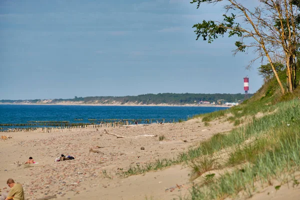 Orosz Homokdűnék Rész Kur Földnyelv Kalinyingrád Region Oroszország — Stock Fotó