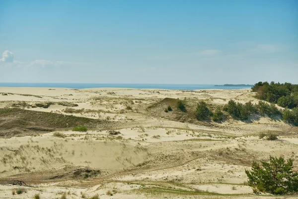 Písečné Duny Ruské Části Kurské Kose Kaliningradská Oblast Rusko — Stock fotografie