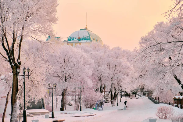 Culture Recreation Park Khabarovsk Russia Heavy Snowfall Morning Sunrise Trees — Stock Photo, Image