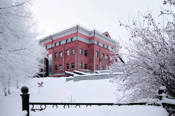 Alberi Innevati Intorno Khabarovsk Museum Local Lore Dopo Pesanti Nevicate — Foto Stock
