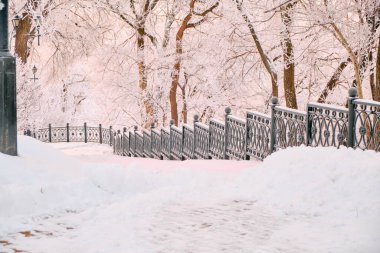 Khabarovsk Kültür ve Rekreasyon Parkı, Rusya Sabahın köründe yoğun kar yağışı sonrasında. Karda ağaçlar.