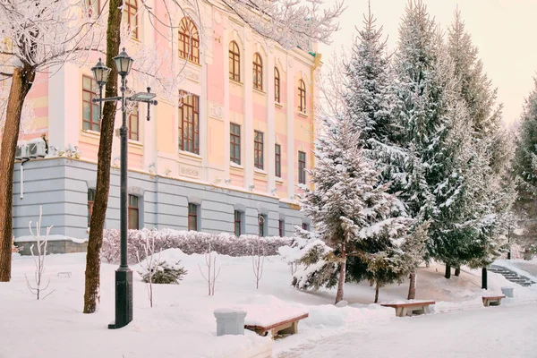 Alberi innevati intorno al Khabarovsk Museum of Local Lore dopo pesanti nevicate al mattino all'alba. Alberi nella neve. Russia, Estremo Oriente. — Foto Stock